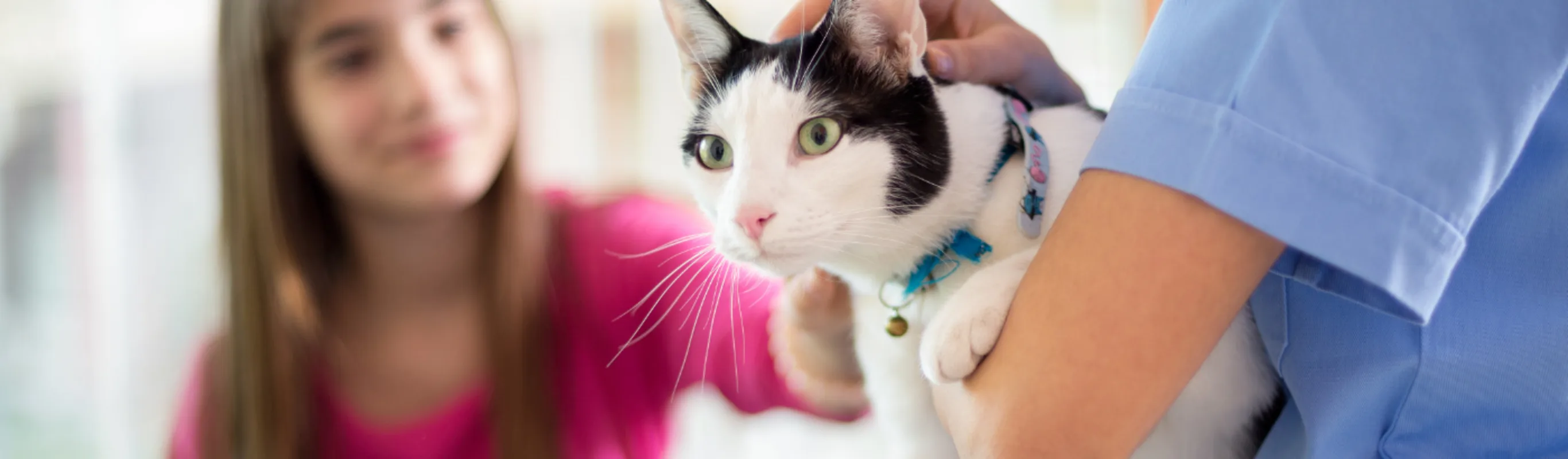 girl petting cat held by staff member