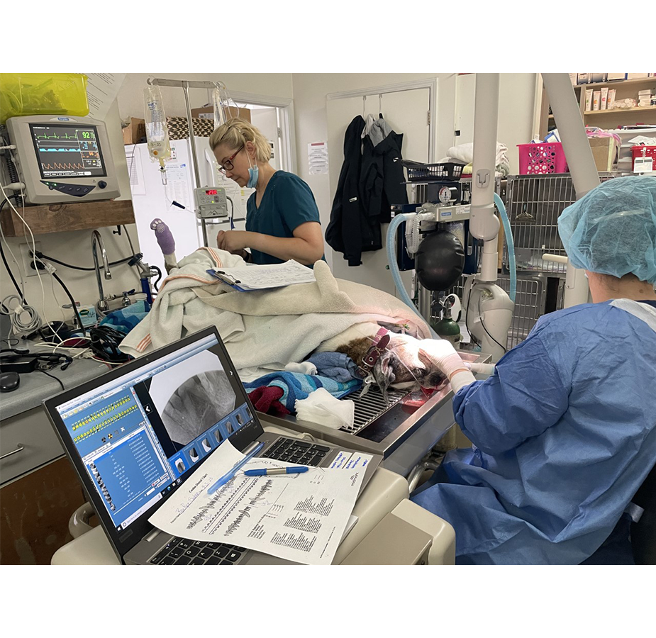 COMPUTER BEING USING FOR DENTAL SURGERY