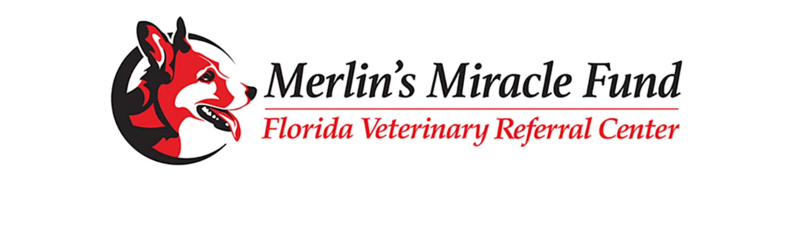 Merlin's Miracle Fund