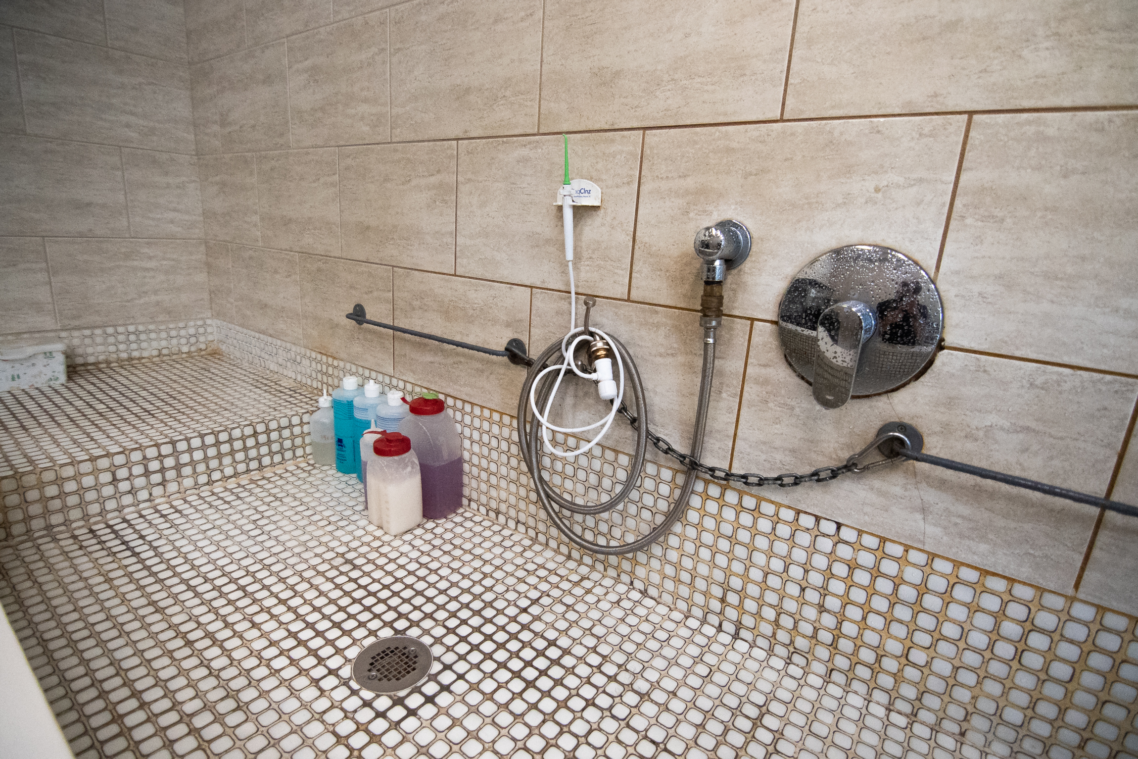 Breed Above Grooming