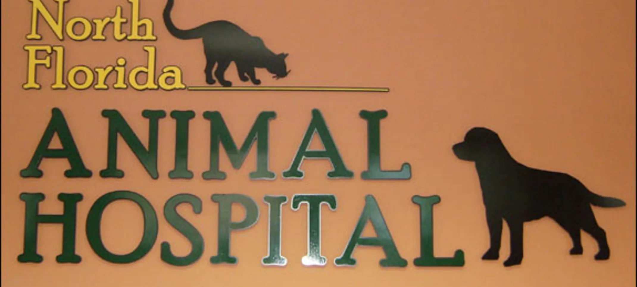 hospital logo hospital logo