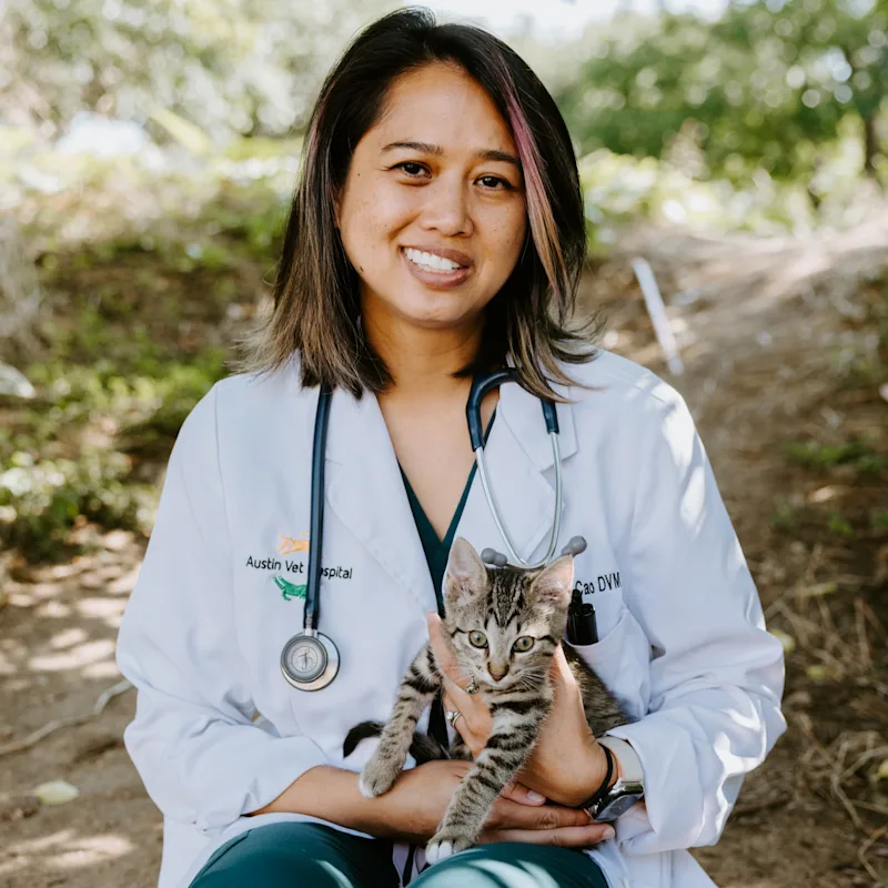 Dr. Christine Cao Dr. Christine Cao