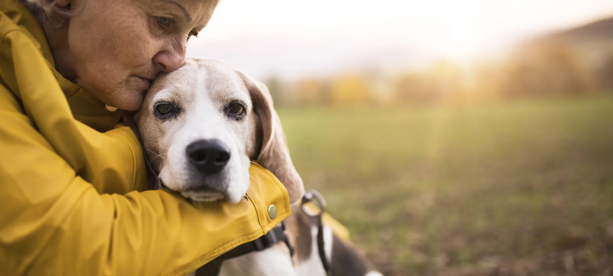 Elder Lady is sitting at a park with her elder dog and she's hugging her dog dearly Elder Lady is sitting at a park with her elder dog and she's hugging her dog dearly