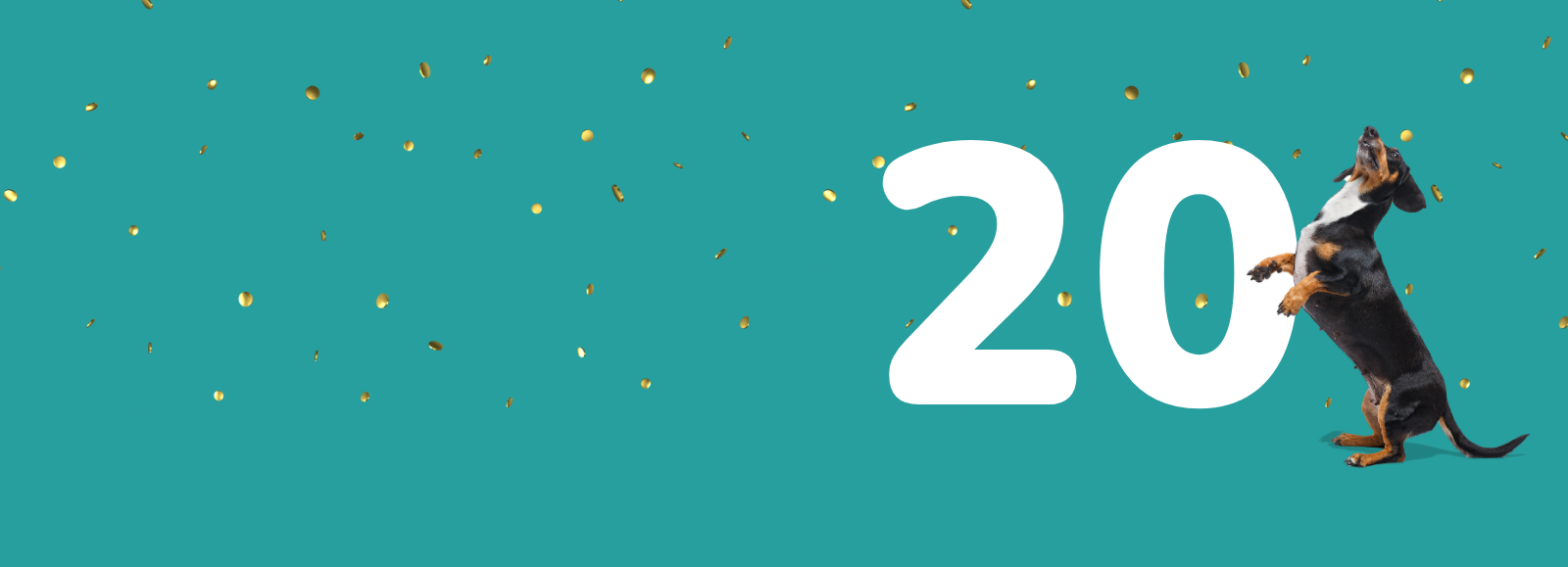 Dog celebrating 20 years