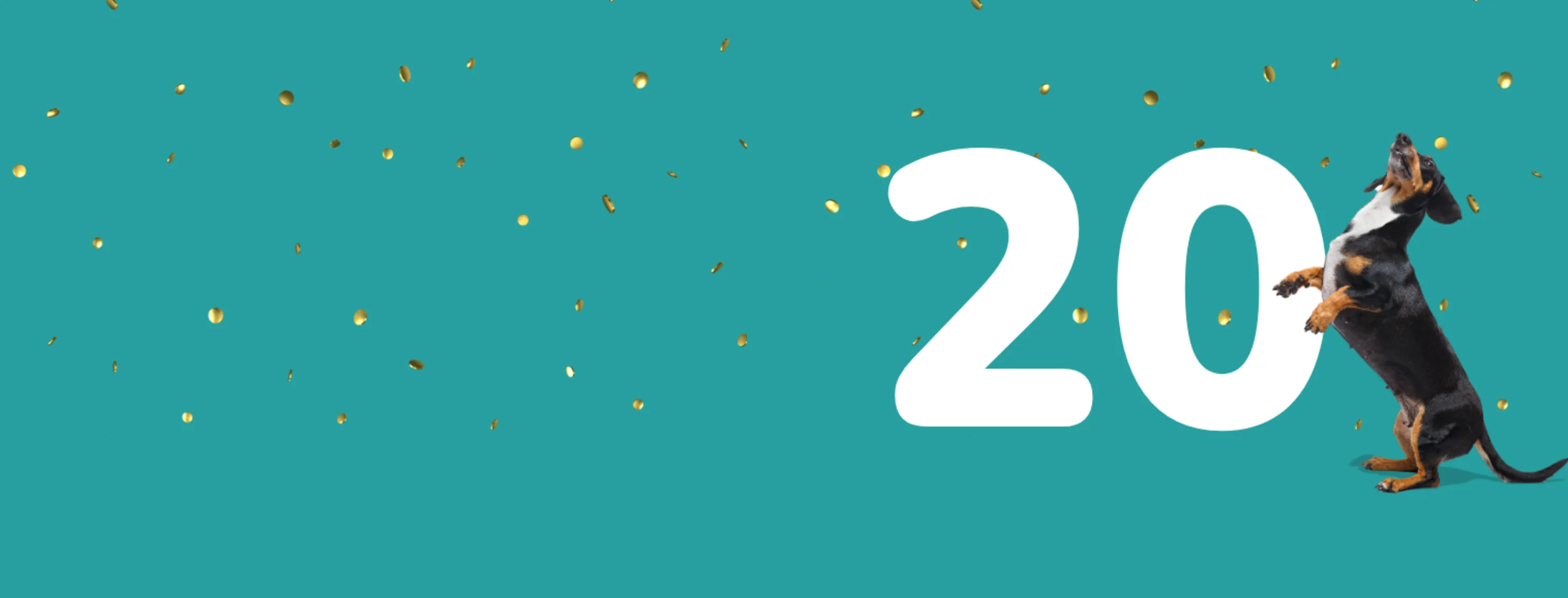 Dog celebrating 20 years Dog celebrating 20 years