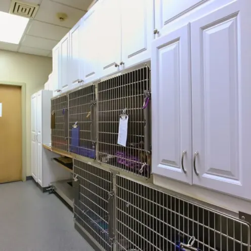 Kitsap Veterinary Hospital Feline Kennel