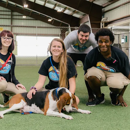 Pompano Pet Lodge Employees Playing Pompano Pet Lodge Employees Playing