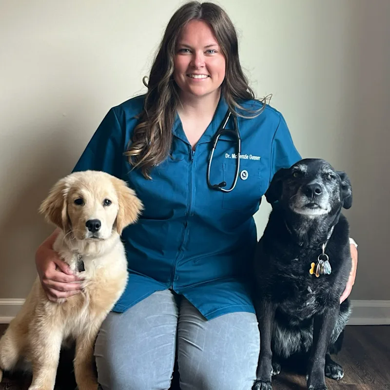 McKenzie Gunner McKenzie Gunner