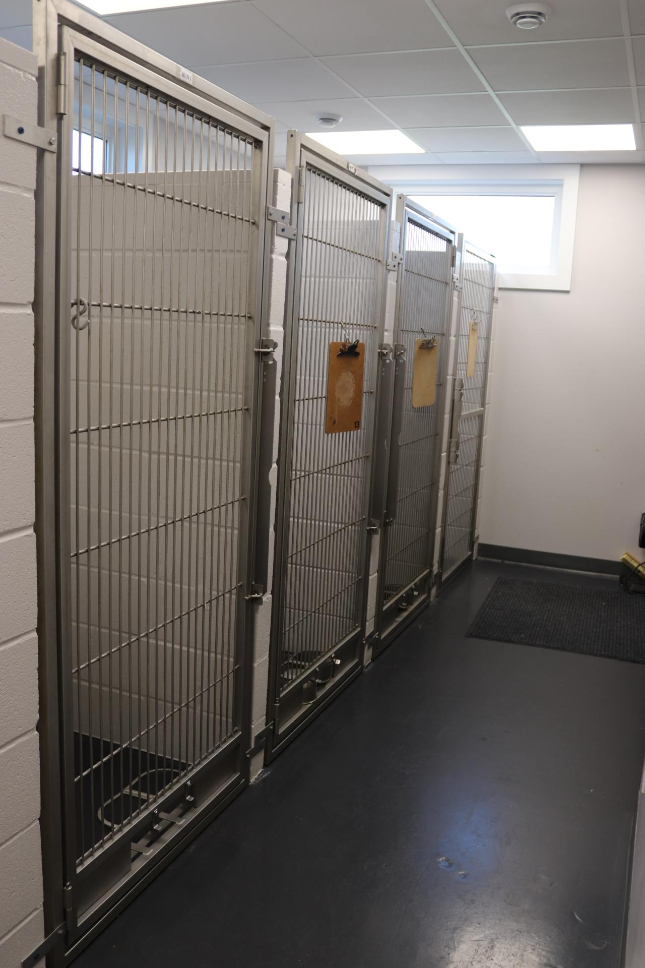 Dog Kennels