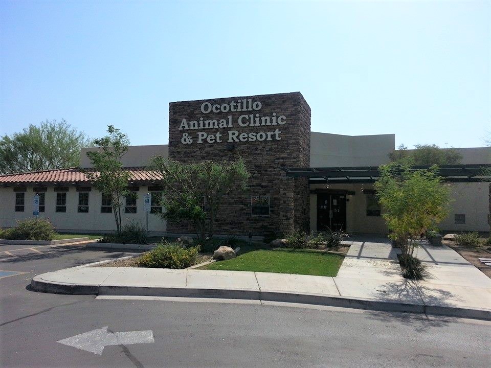 About Animal Hospital | Ocotillo Animal Clinic & Pet Resort