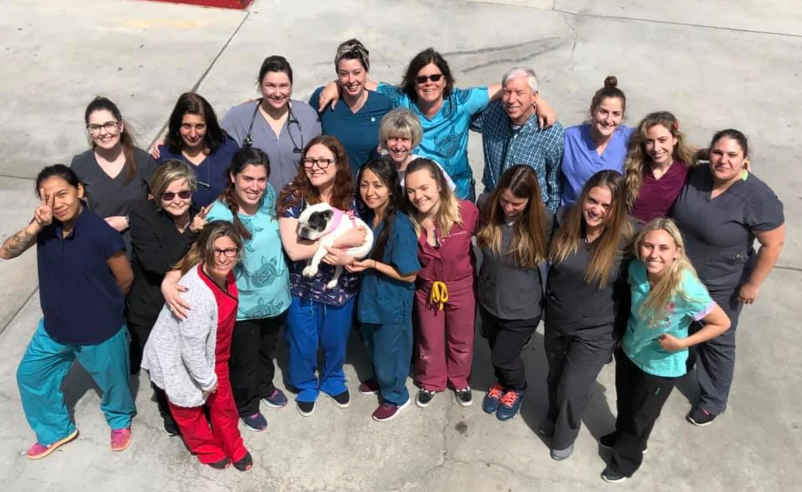 Holistic Veterinary Center staff photo