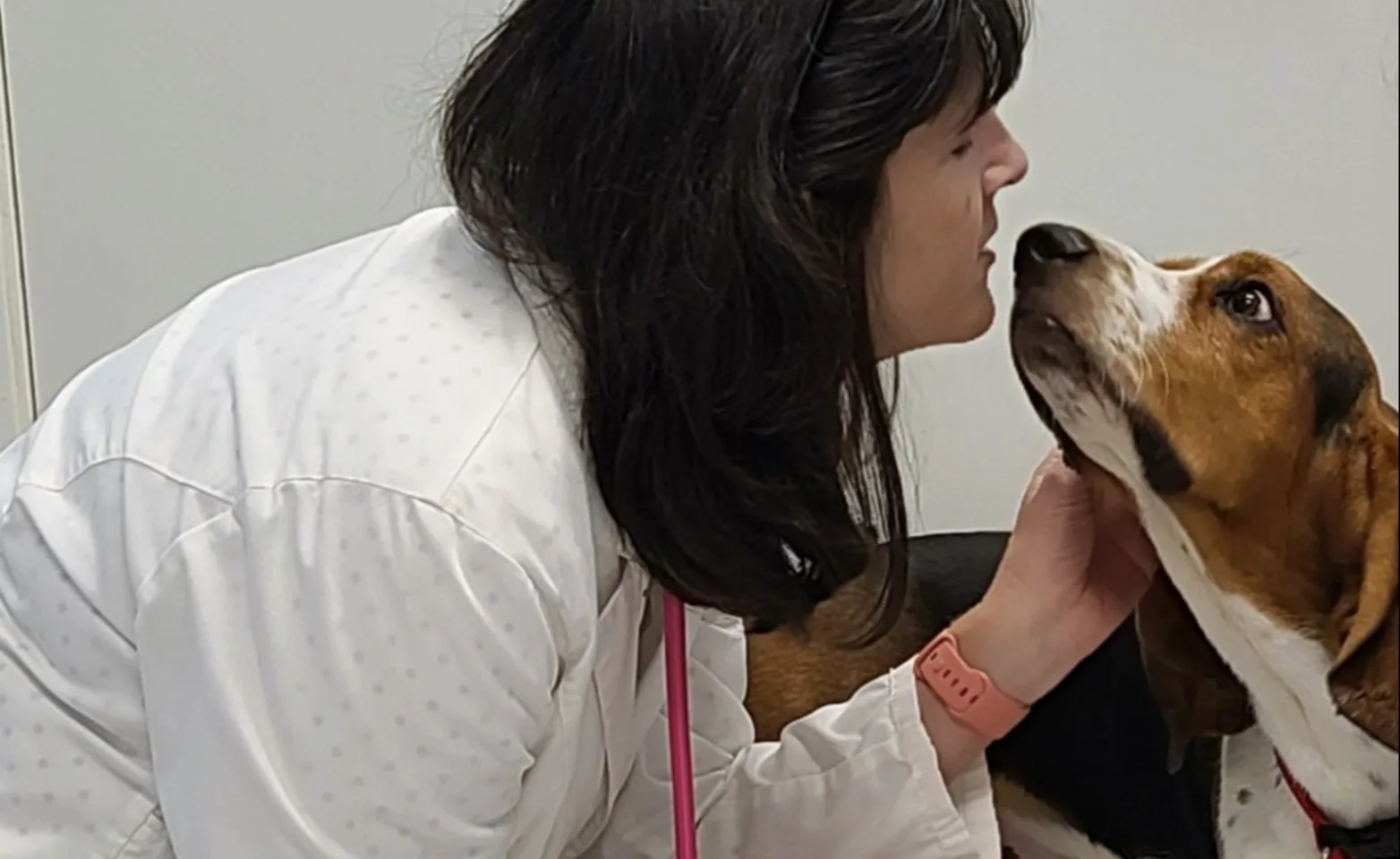 Boston Terrier and Staff Person Boston Terrier and Staff Person
