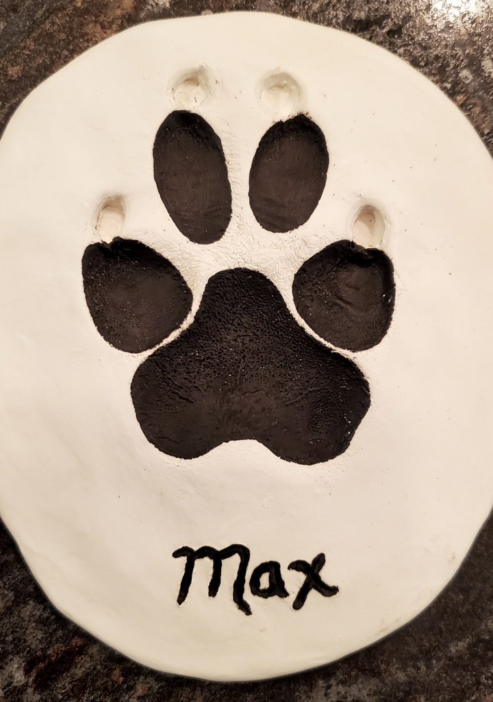 Black and White Paw Impression