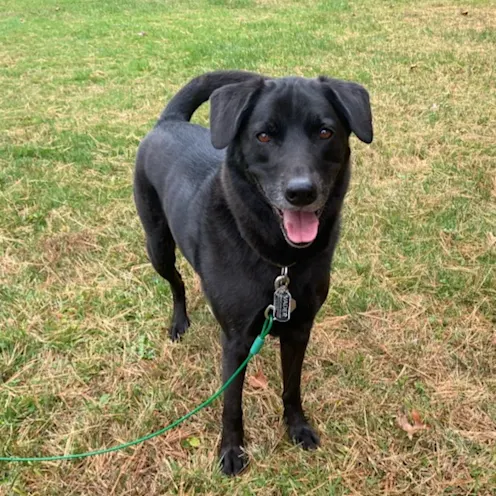 Vader Keller Vader Keller