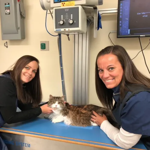 Staff holding cat on x-ray