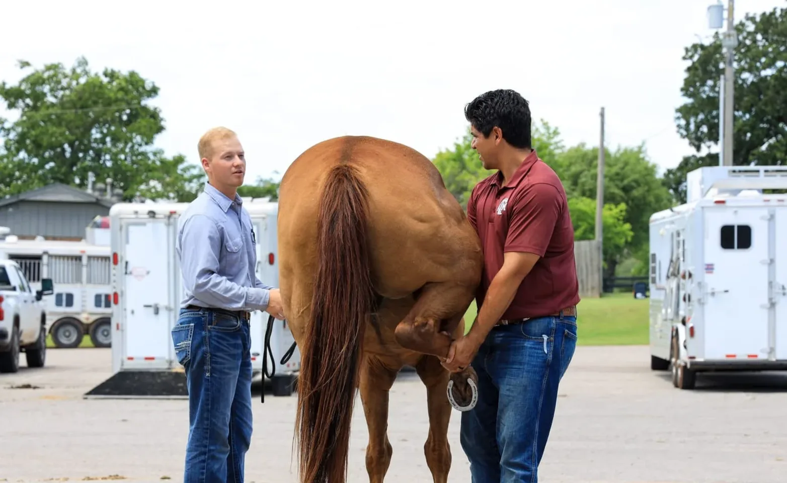 Photo of two men posing with a horse.