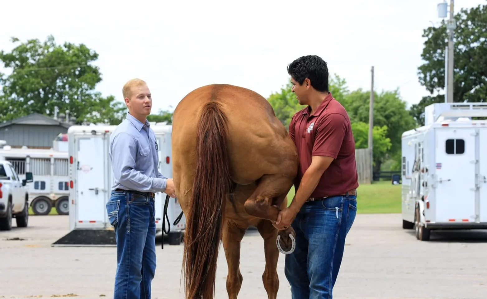 Photo of two men posing with a horse. Photo of two men posing with a horse.