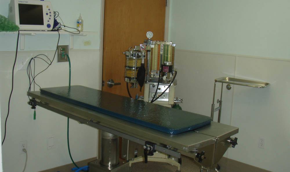 Linda Mar Veterinary Hospital surgery operating table