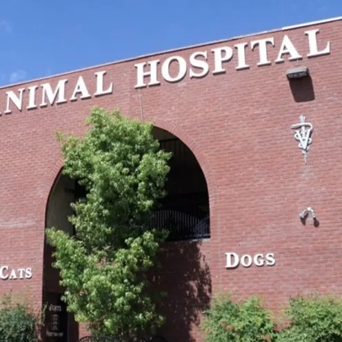 Exterior facade of the Rainbow Animal Hospital facility
