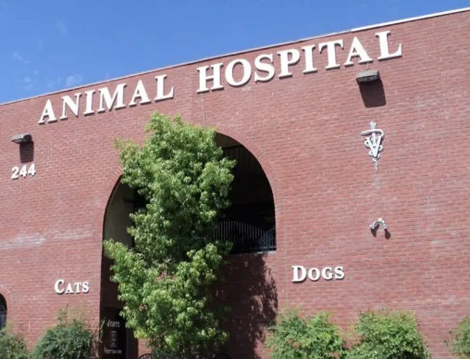 Exterior facade of the Rainbow Animal Hospital facility