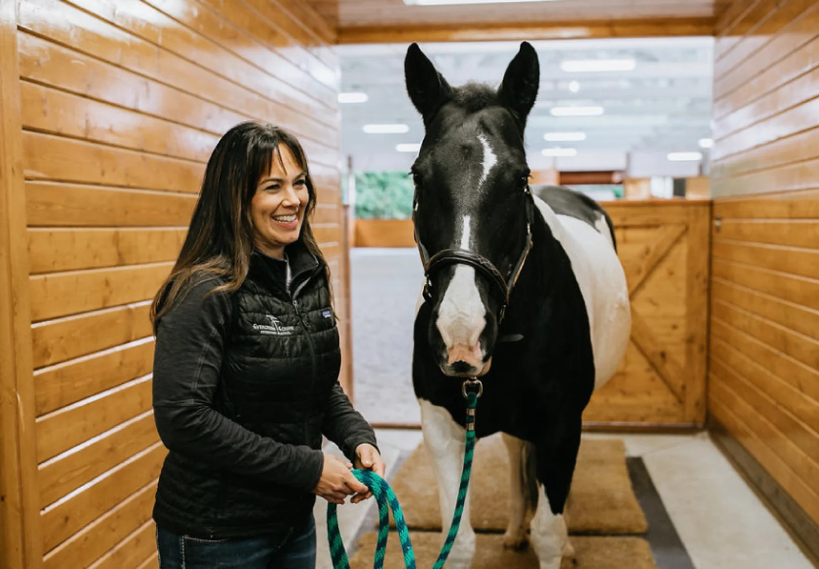 Evergreen Equine veterinarian with brown and white horse in a barn Evergreen Equine veterinarian with brown and white horse in a barn