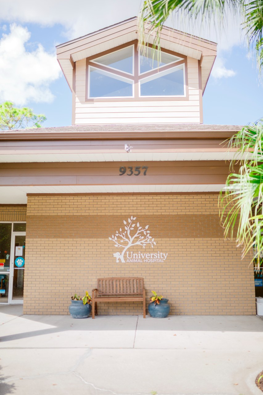 Outside University Animal Hospital Orlando.