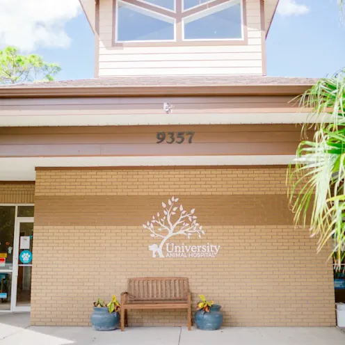 Outside University Animal Hospital Orlando. Outside University Animal Hospital Orlando.