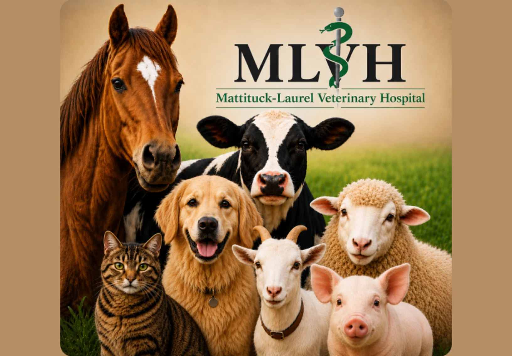 MVLH Logo MVLH Logo