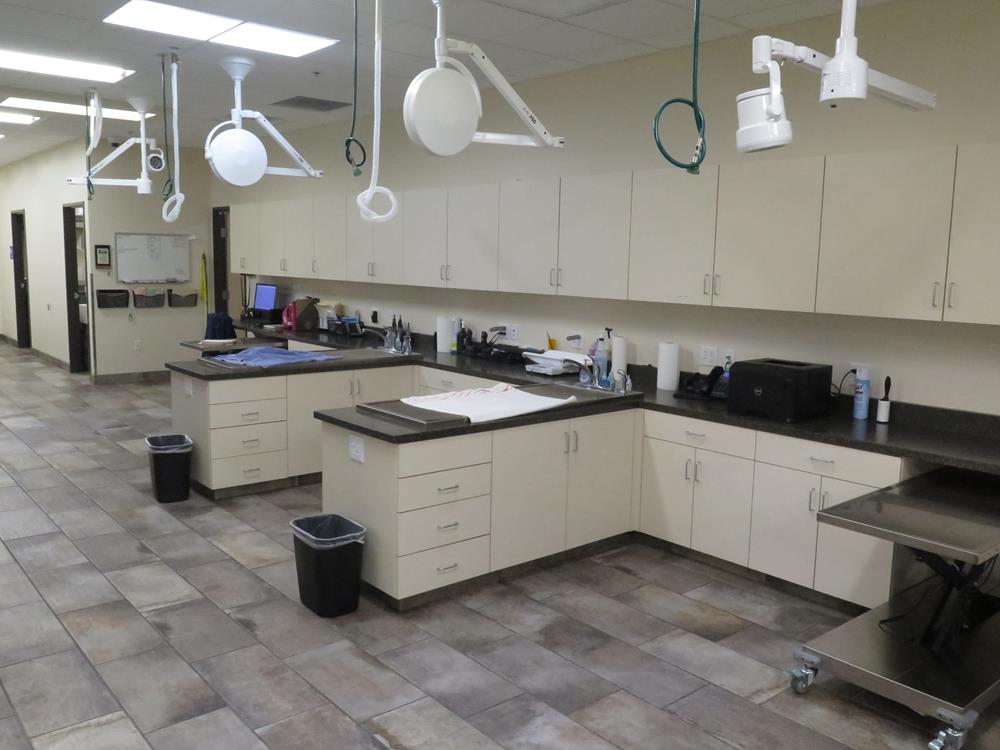 A surgical room with various tables sticking out of the cabinets for surgery. 