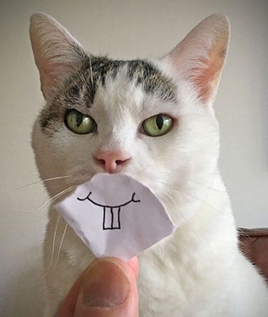 White Cat with Funny Paper Mouth