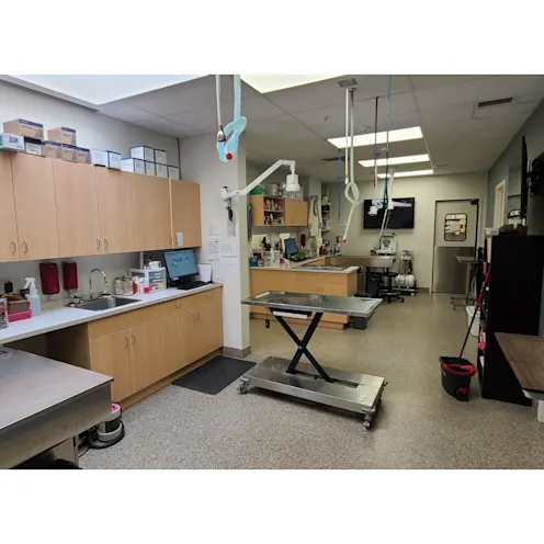 Treatment Area Treatment Area