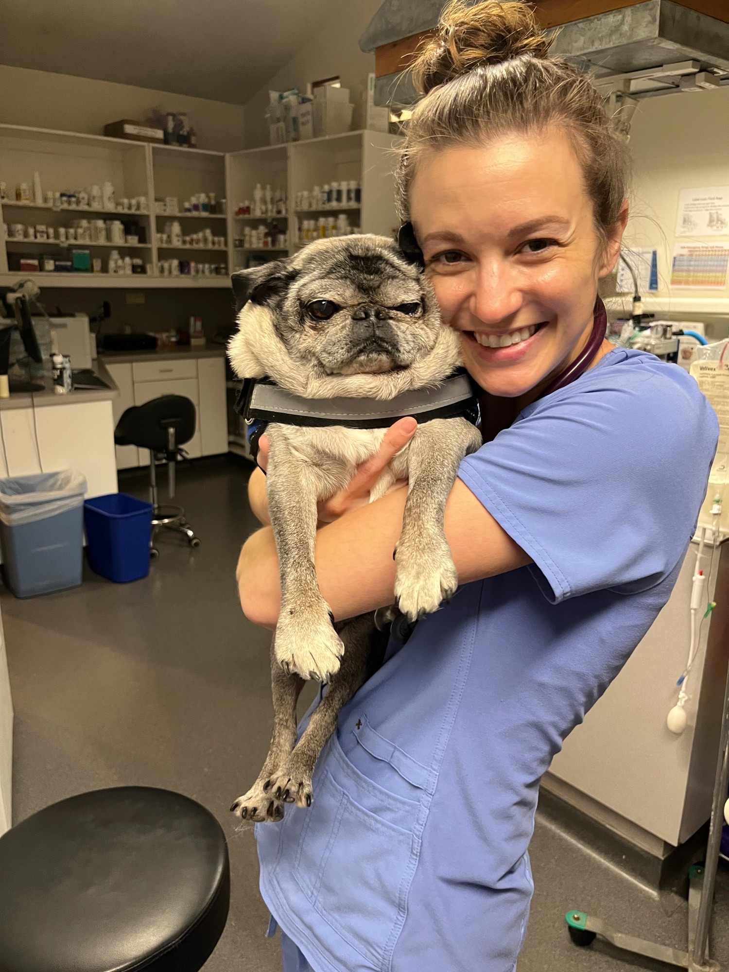 Staff in blue scrubs hugging a pug.