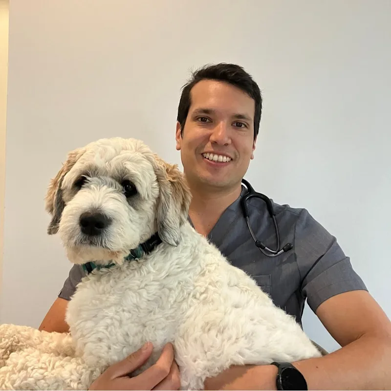 Dr. Rafael Carballo Dr. Rafael Carballo