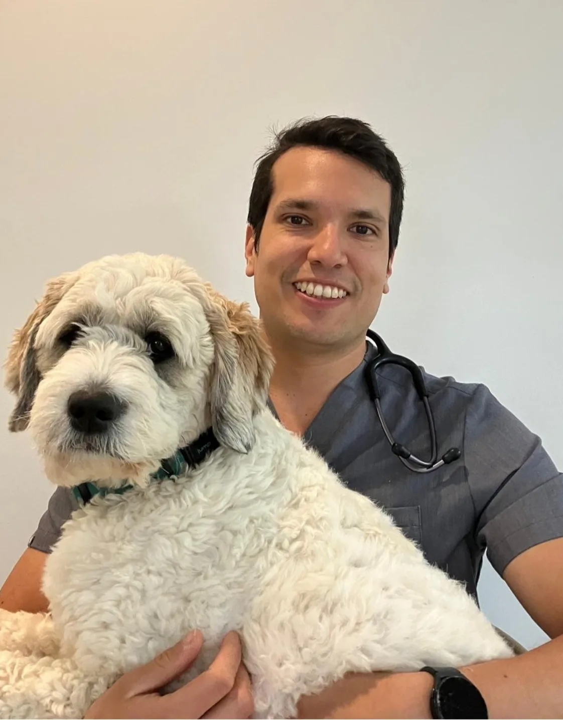 Dr. Rafael Carballo Dr. Rafael Carballo