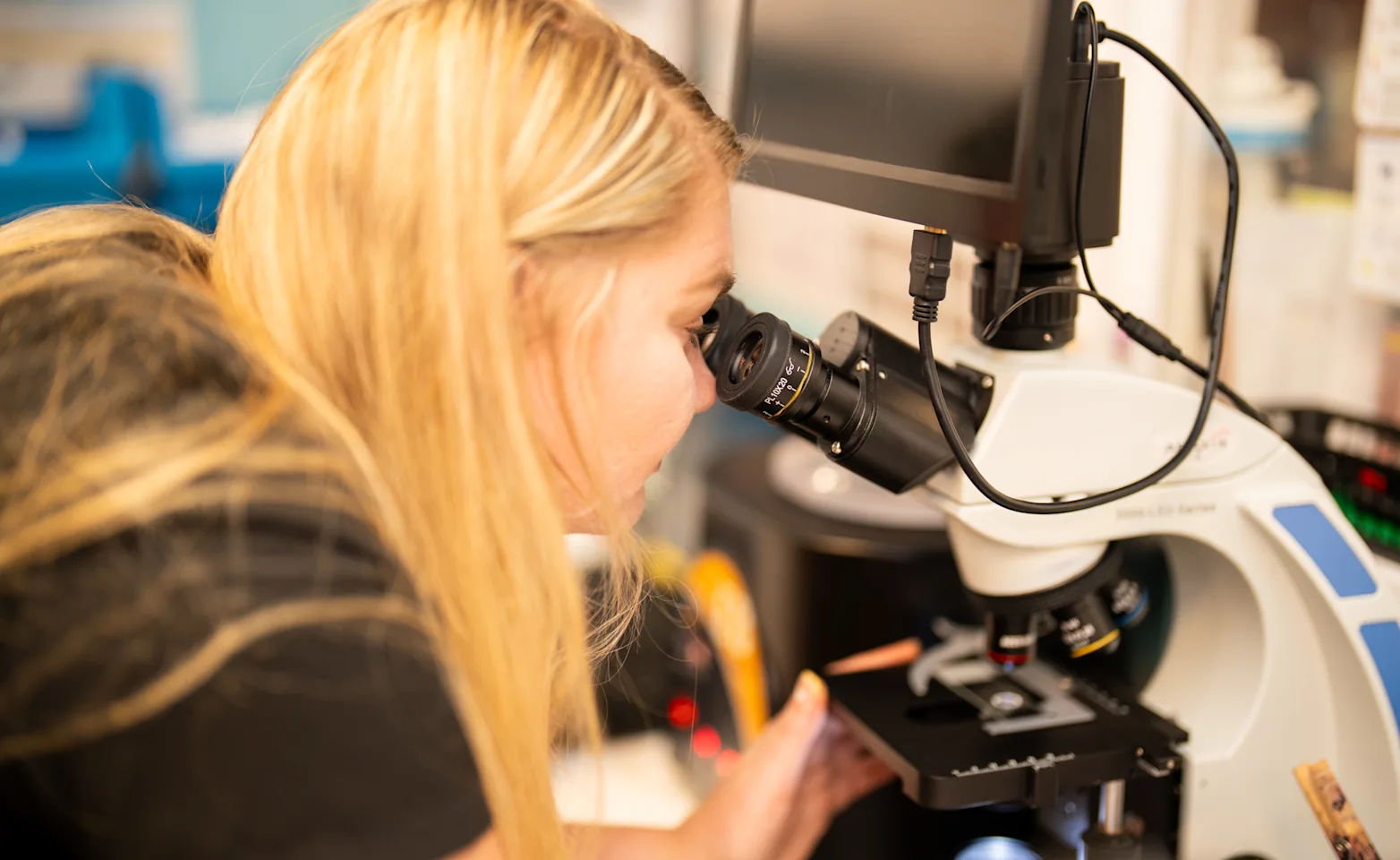 Veterinarian looking through microscope Veterinarian looking through microscope
