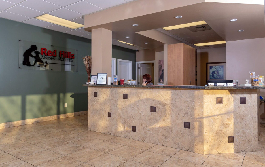 Reception desk at Red Hills Animal Hospital
