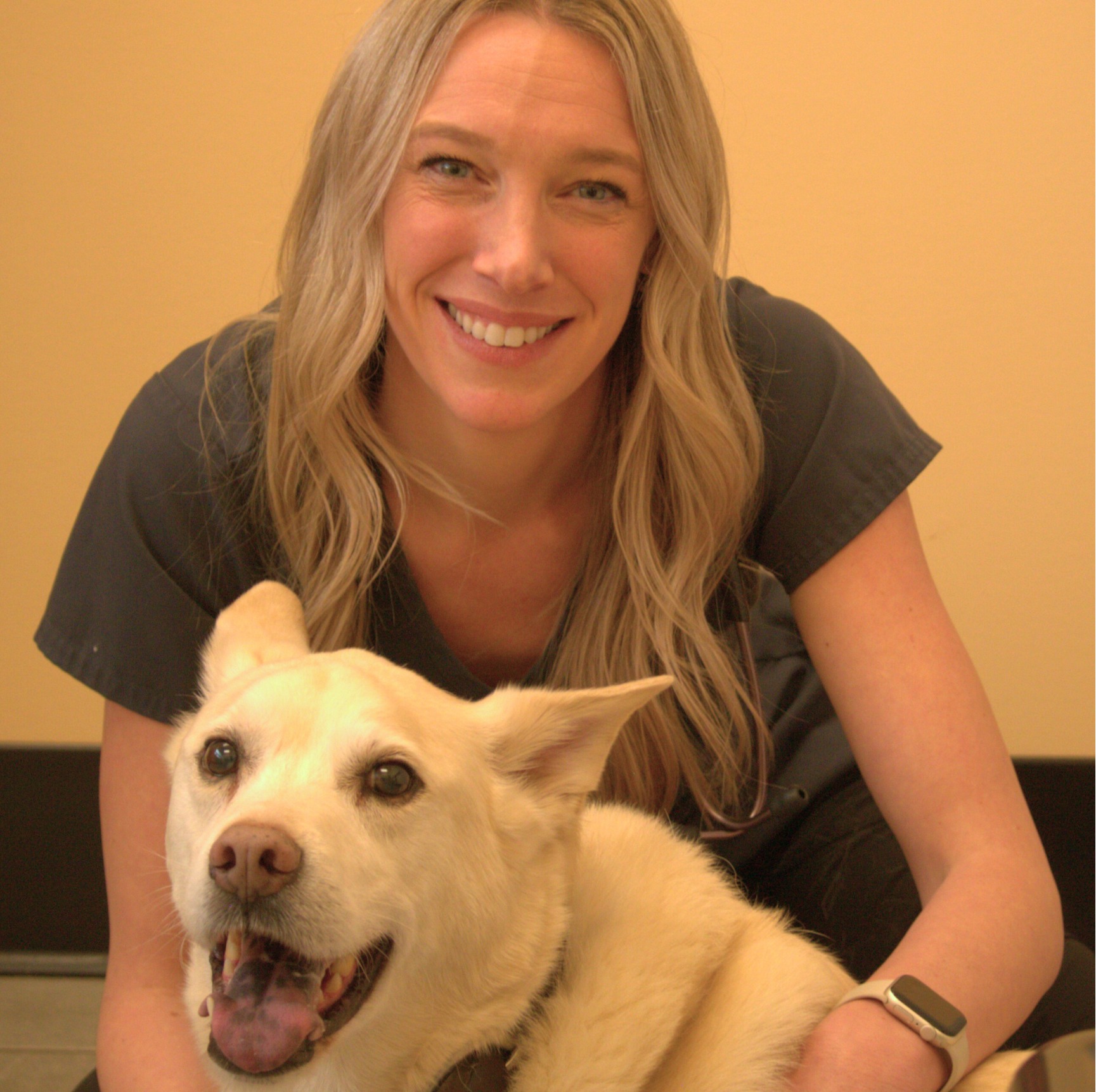 Staff photo of Dr. Kelly MacLeod holding a kitten