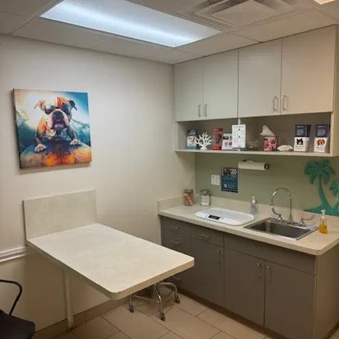 Exam Room 2 Exam Room 2