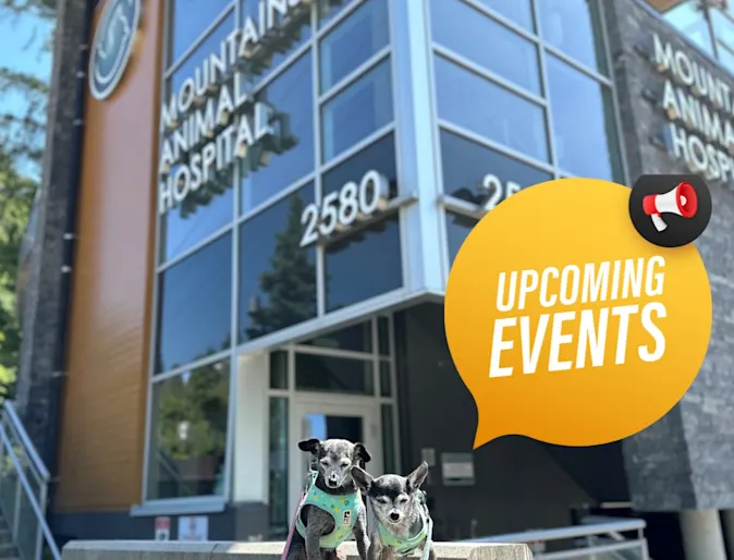 Upcoming Events Image Upcoming Events Image