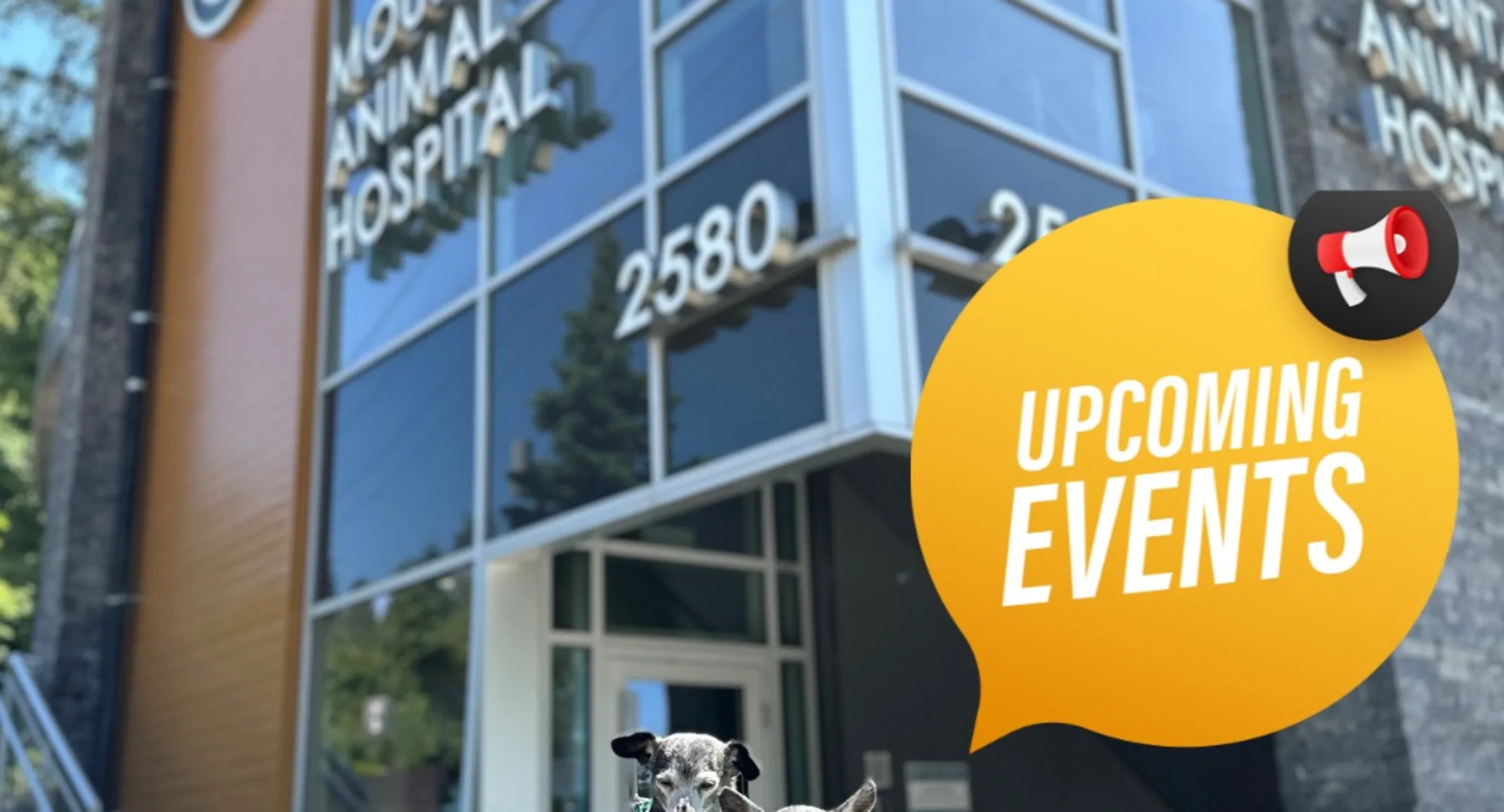 Upcoming Events Image Upcoming Events Image