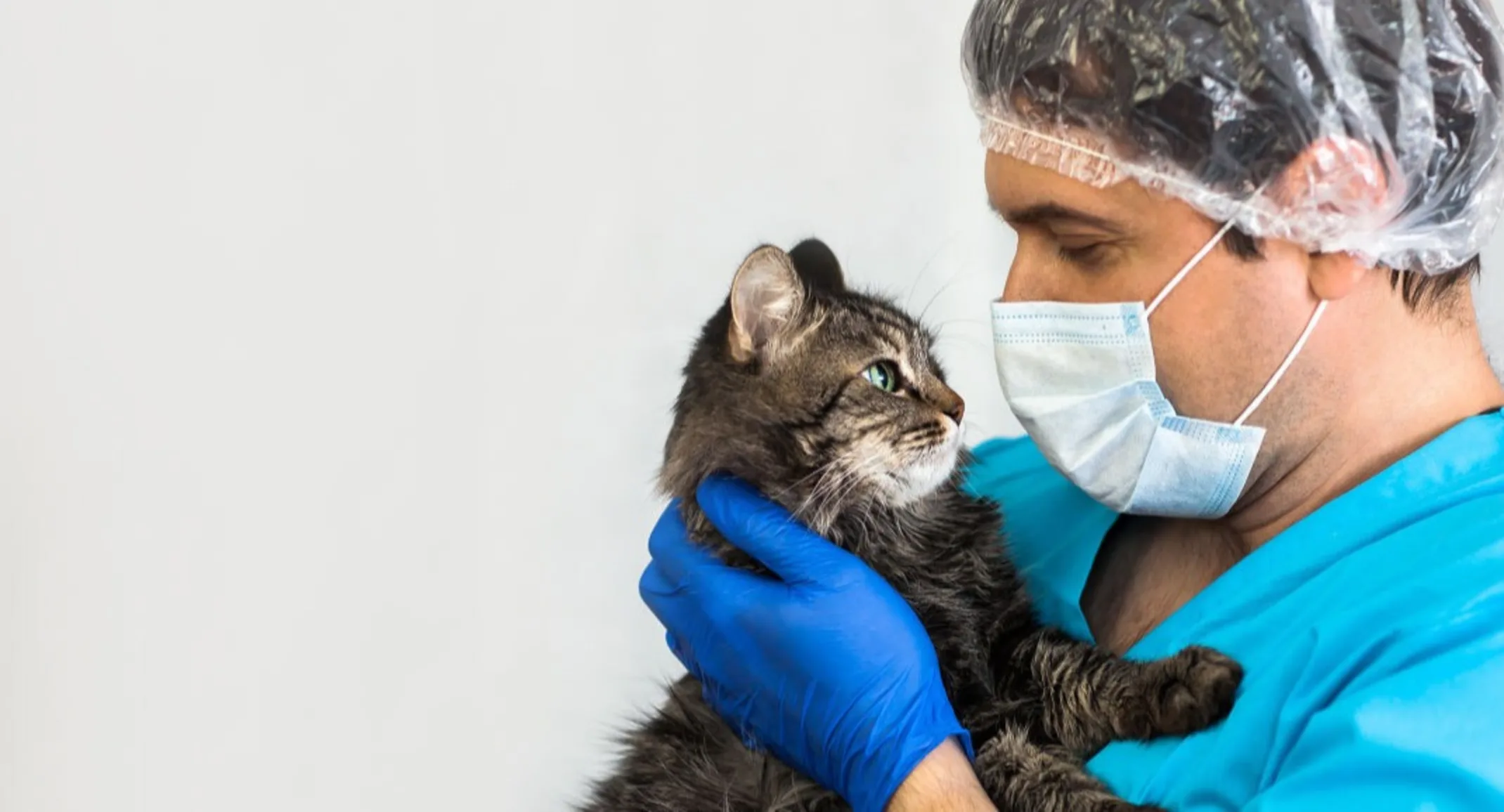 Doctor with mask holding cat