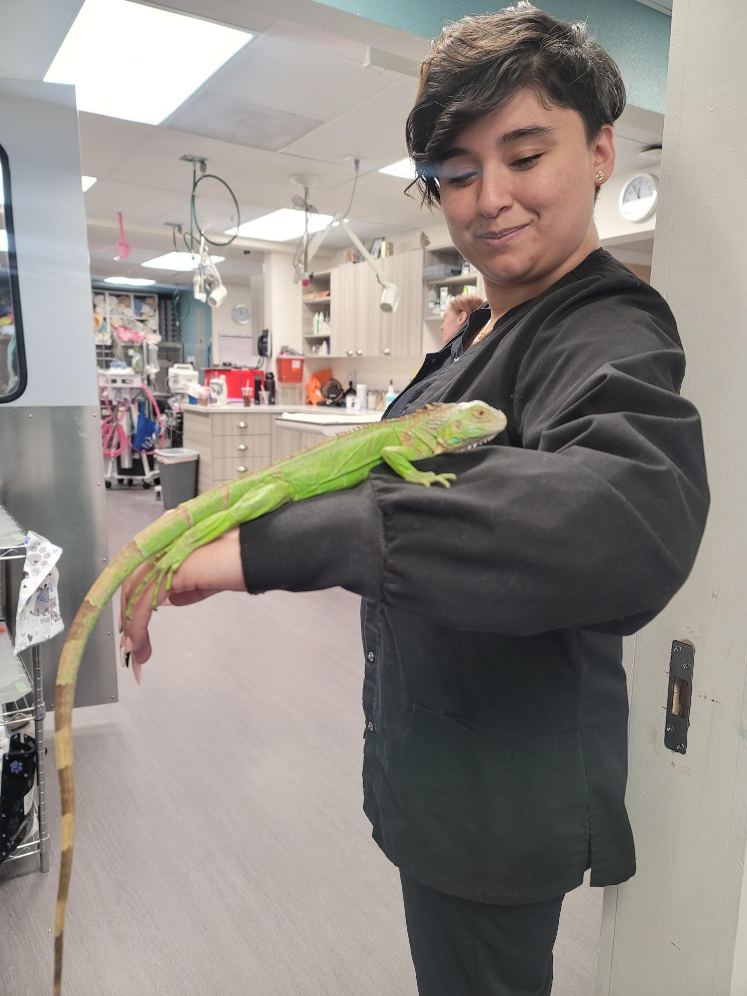 Stephen from Cheyenne Tonopah Animal Hospital