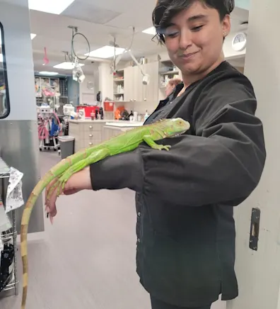 Stephen from Cheyenne Tonopah Animal Hospital Stephen from Cheyenne Tonopah Animal Hospital