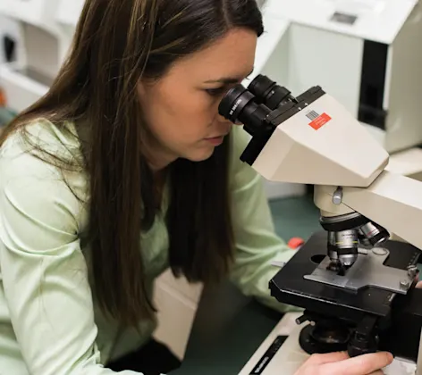 Vet looking through Microscope Vet looking through Microscope