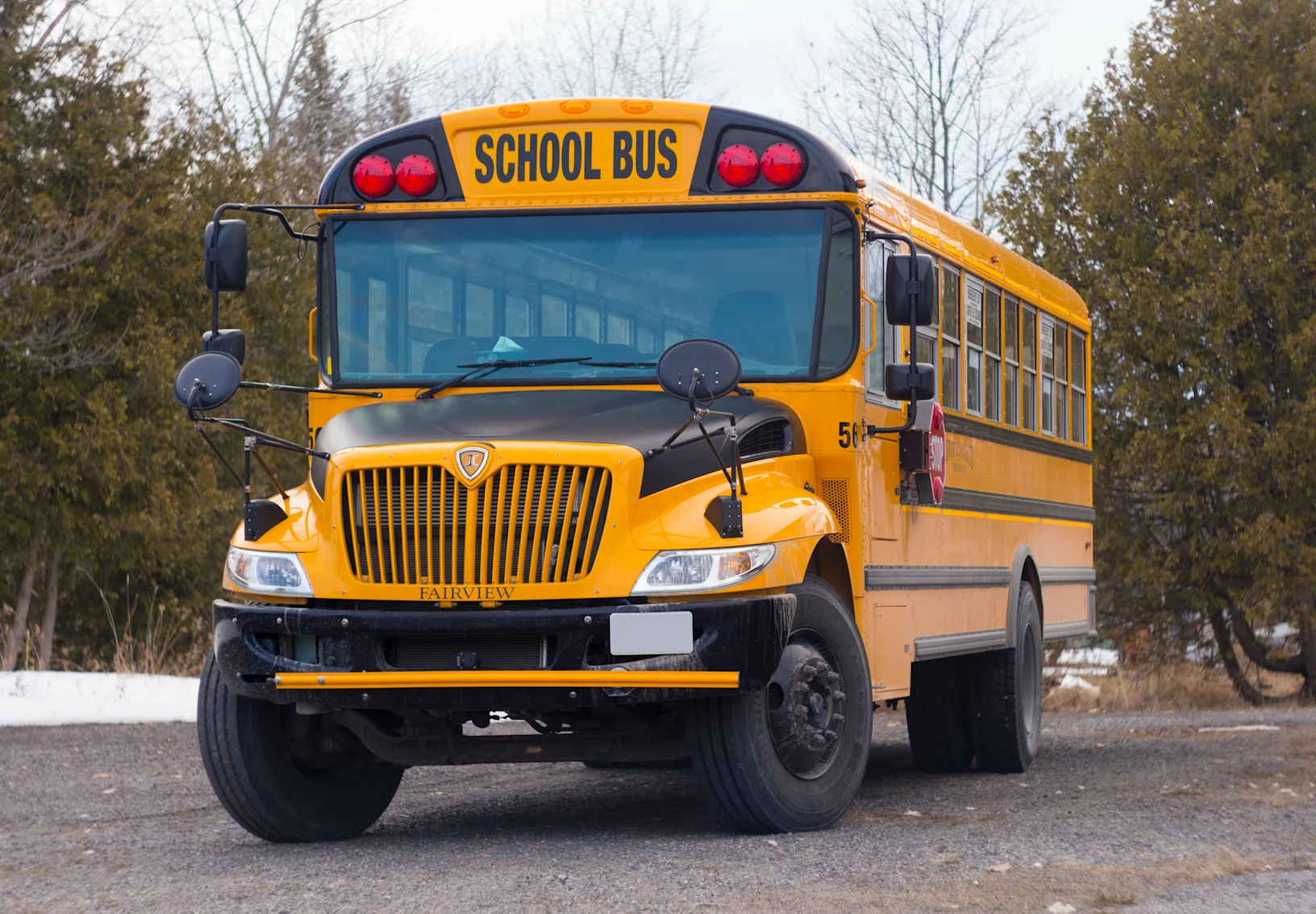 school bus school bus