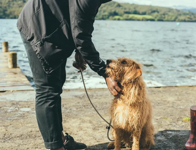 Man petting his golden retriever on a boating dock. 