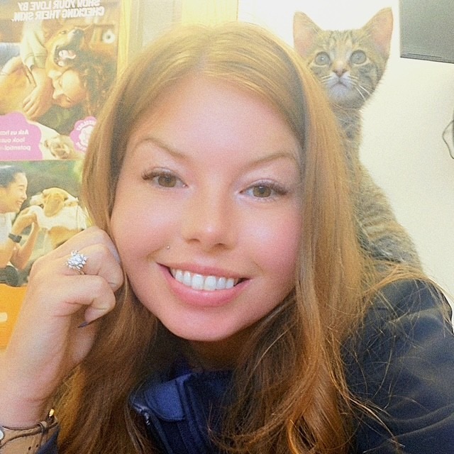 A collage of Corey and three black cats