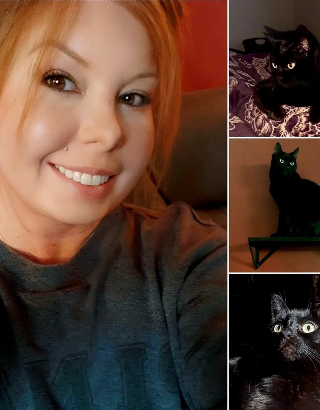 A collage of Corey and three black cats A collage of Corey and three black cats