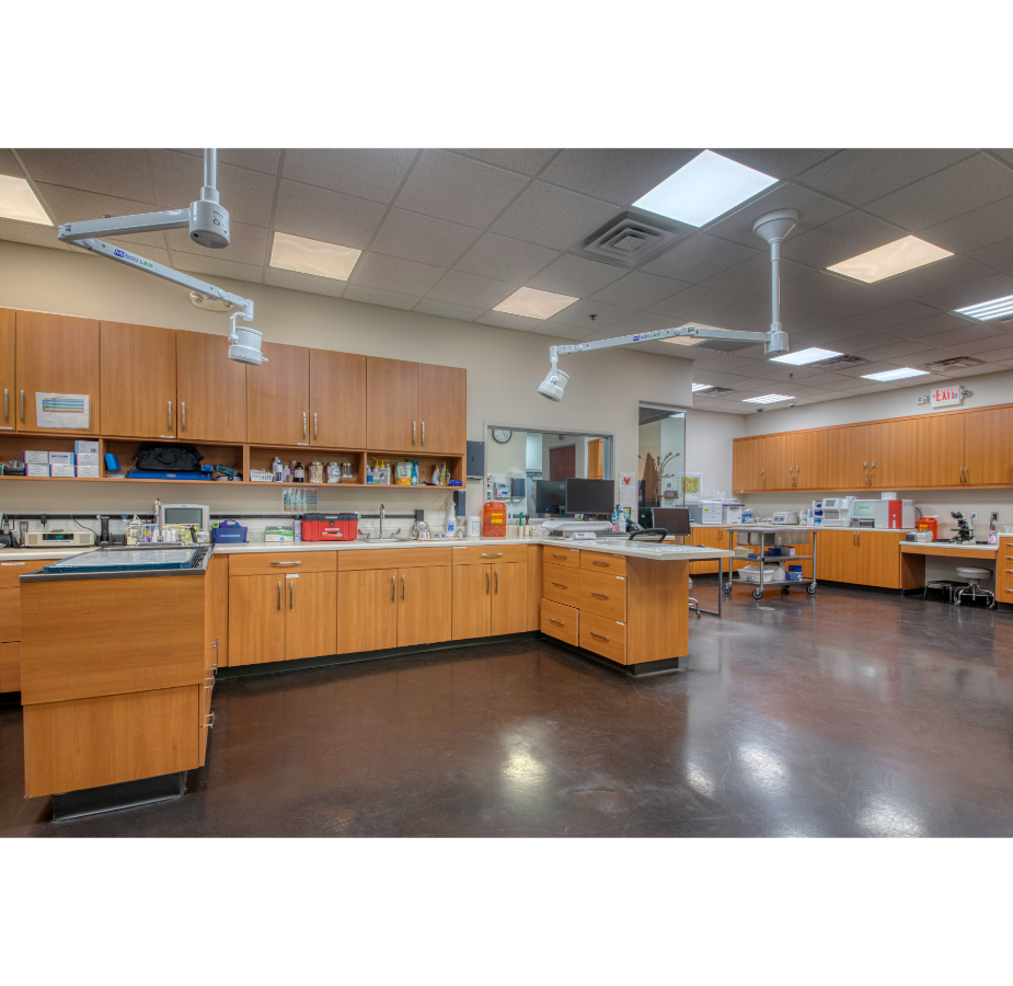 Dermatology Treatment Room at VetMed Emergency & Specialty Veterinary Hospital
