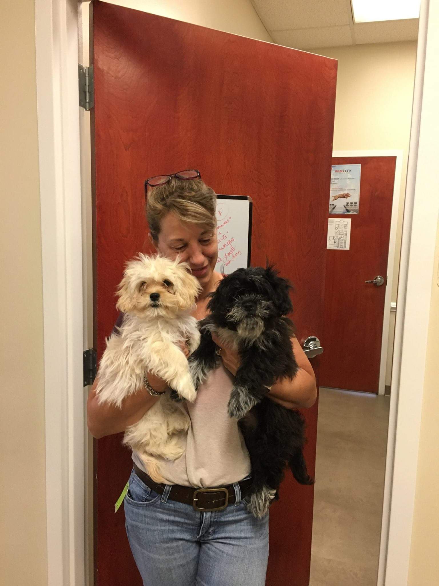 Woman holding two dogs